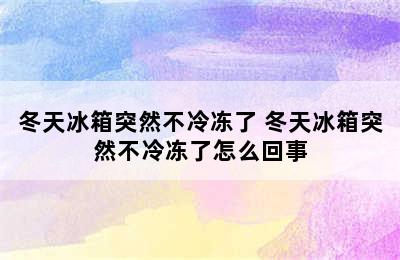 冬天冰箱突然不冷冻了 冬天冰箱突然不冷冻了怎么回事